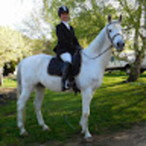 Meet your Posher, Donna